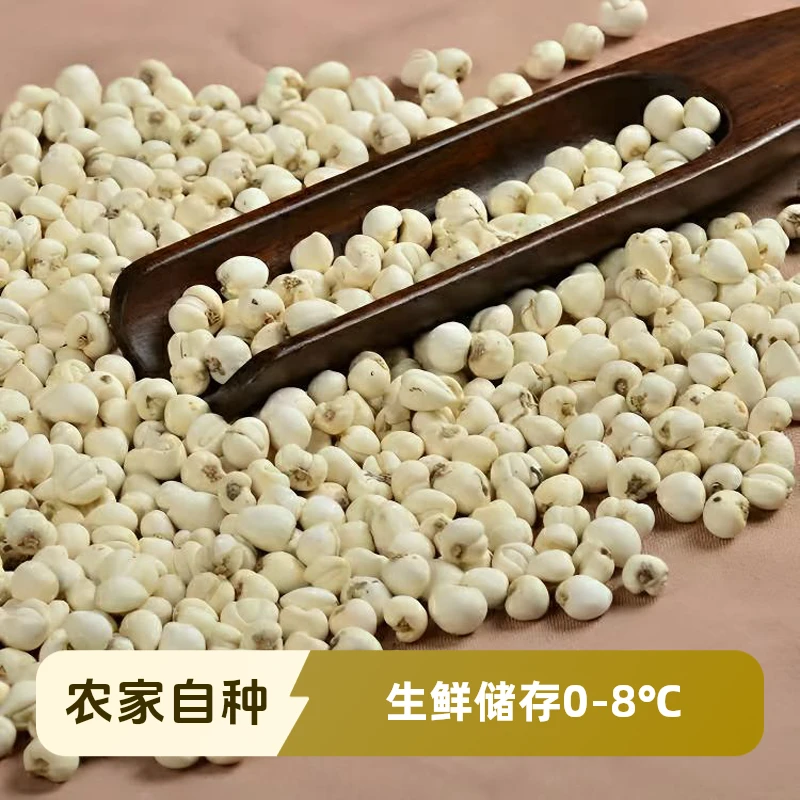 w农家高山贝.母50g