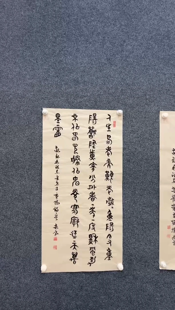国画袁志良-书法-无国检-005