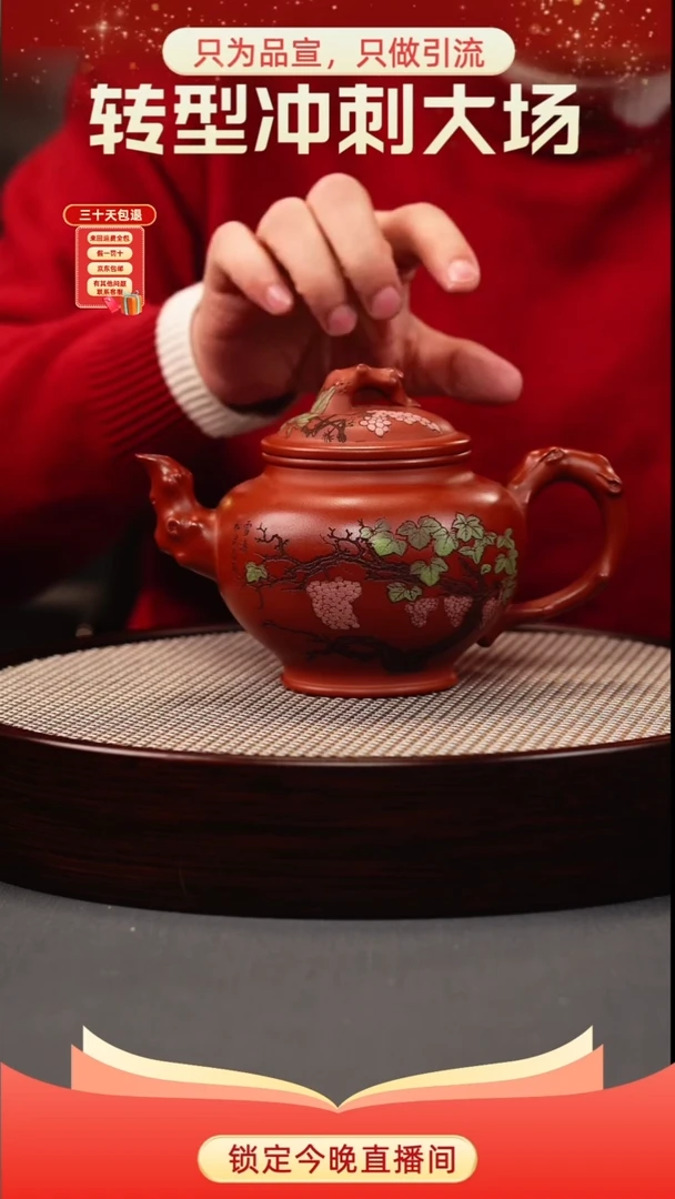 报春 贵妃朱砂 松鼠葡萄