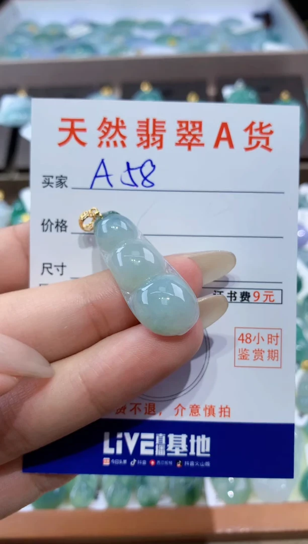 颈饰未镶嵌翡翠天然翡翠A货挂件