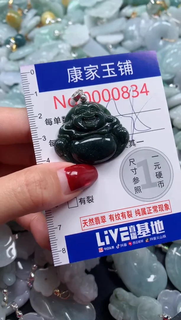 颈饰未镶嵌翡翠834