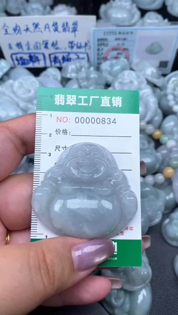 翡翠未镶嵌颈饰缅甸天然A货翡翠0834