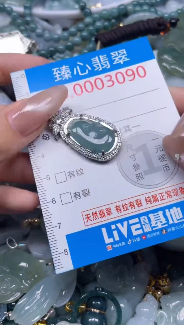 颈饰未镶嵌翡翠3090