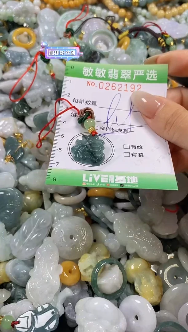 翡翠未镶嵌颈饰闪购0262192多样性发其一
