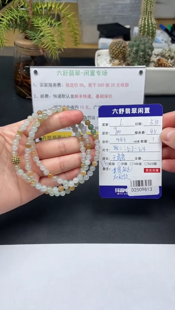 未镶嵌手串翡翠D2509813