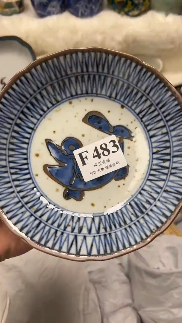【闪购商品】瓷片          F483