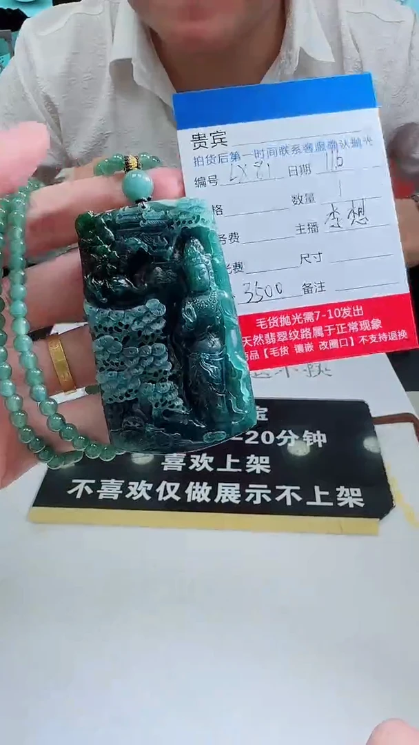 未镶嵌定制翡翠LX81翡翠吊坠带珠链-多样性发其一