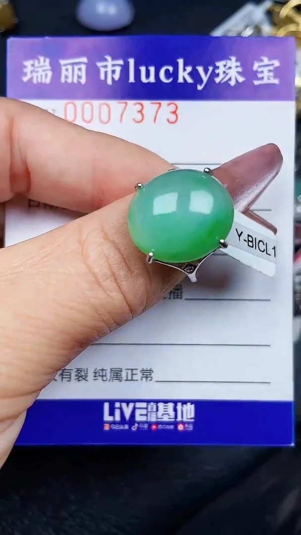 颈饰银S925镶嵌翡翠7373