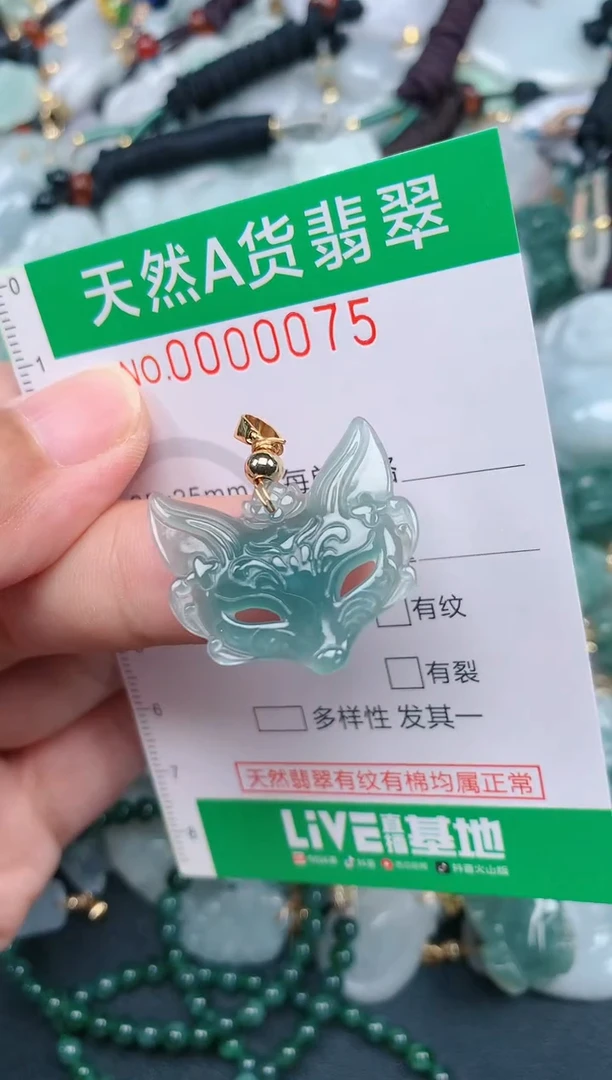 翡翠未镶嵌颈饰.0000075