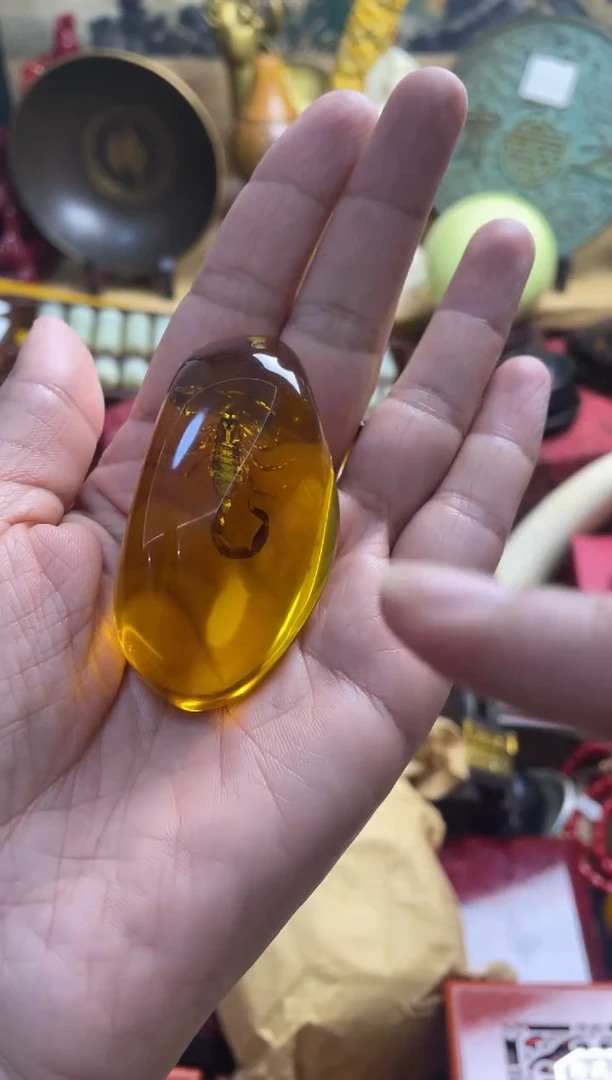 裸石琥珀未镶嵌主播推荐主播推荐