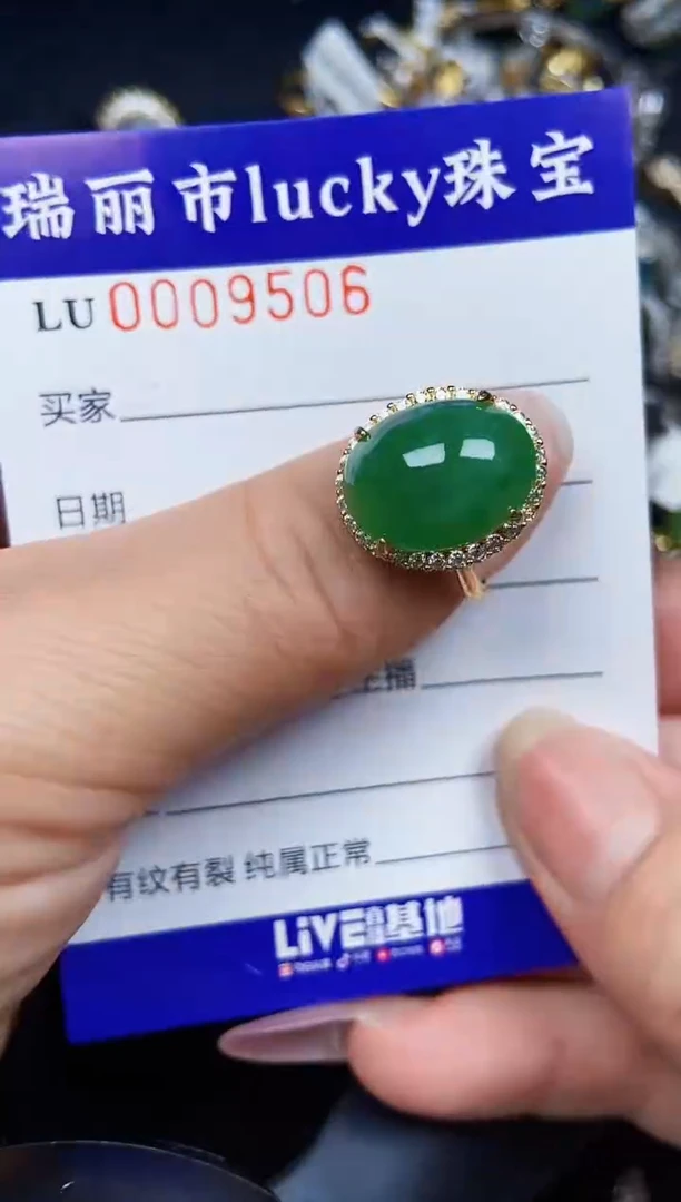 翡翠银S925镶嵌颈饰9506