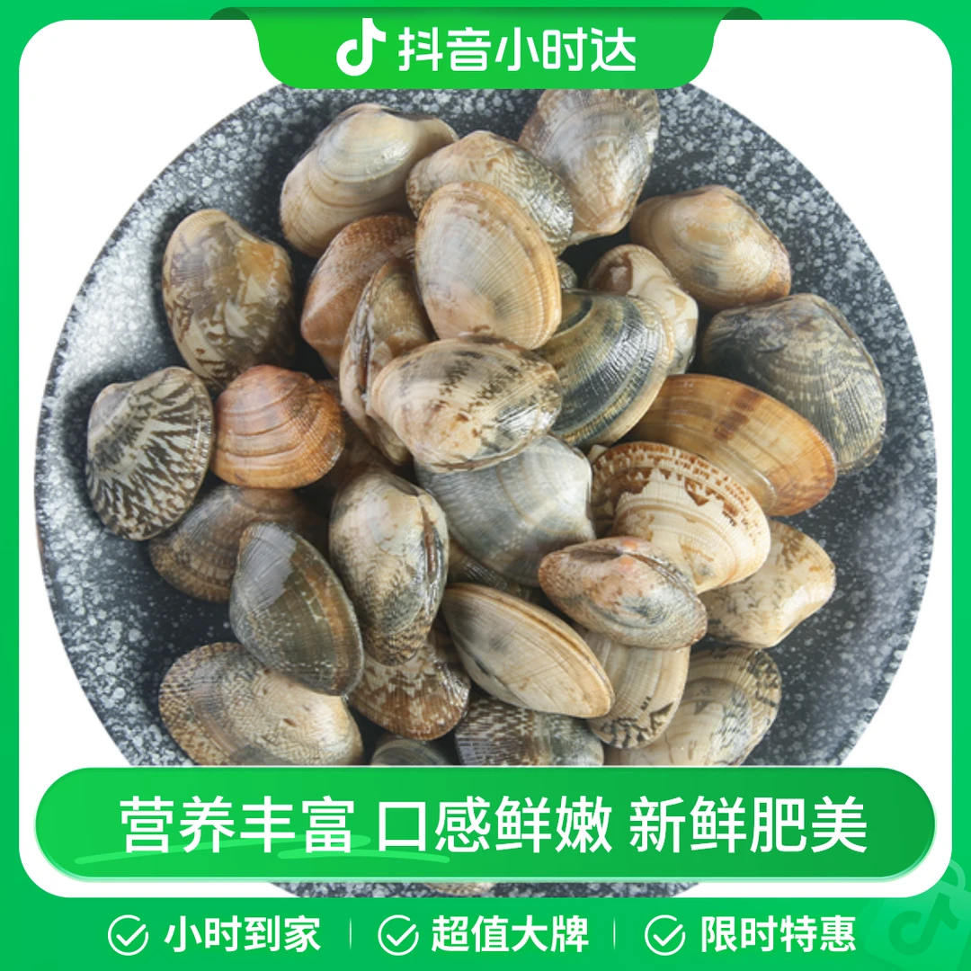 鲜活花蛤 1kg