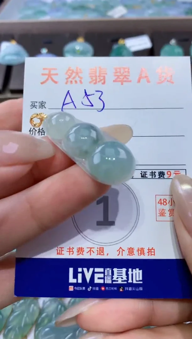 颈饰未镶嵌翡翠天然翡翠A货挂件