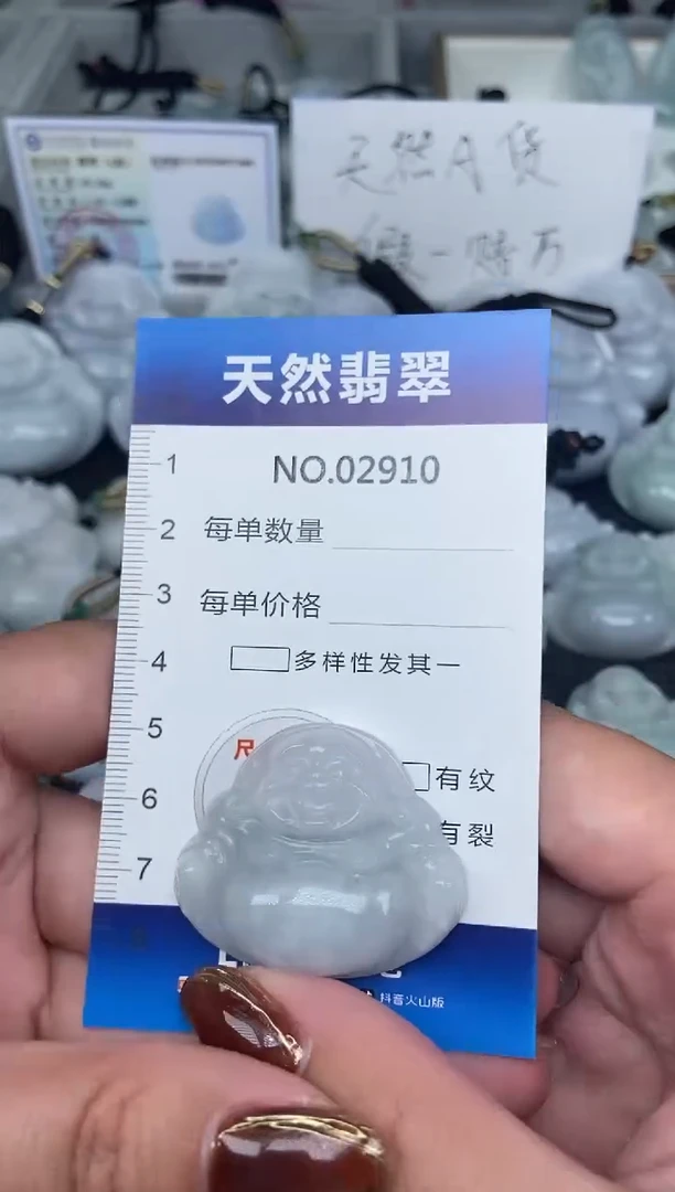颈饰未镶嵌翡翠纯天然A货翡翠2910