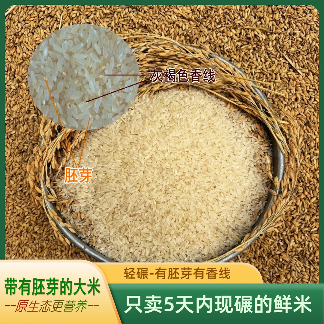 【新疆原生态胚芽米】新疆温宿大米胚芽米宝宝营养米/TG