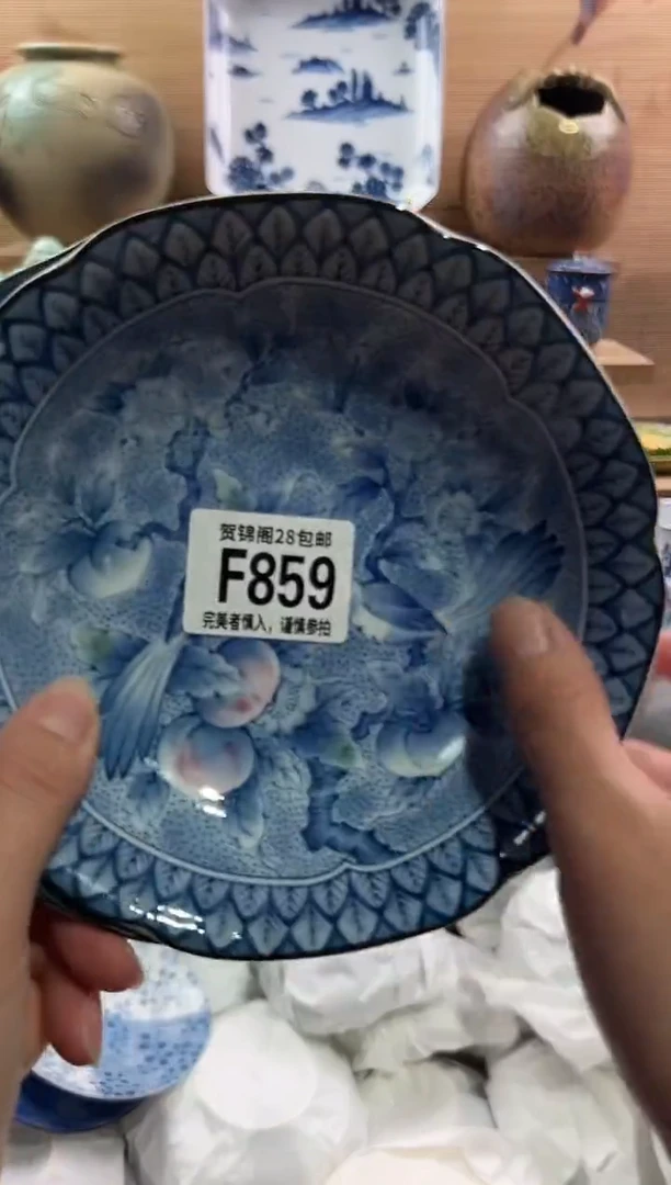 瓷片         F859