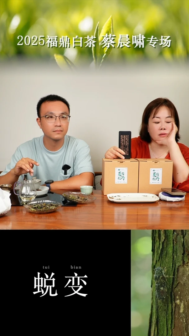 茶壶紫砂蔡晨啸 2025夏日牡丹（6月）半斤一箱