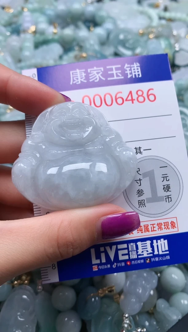 颈饰未镶嵌翡翠6486
