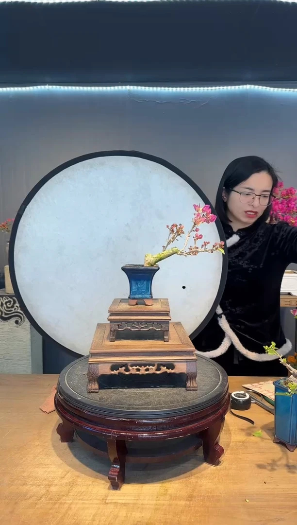 【闪购商品】春天 漳红樱