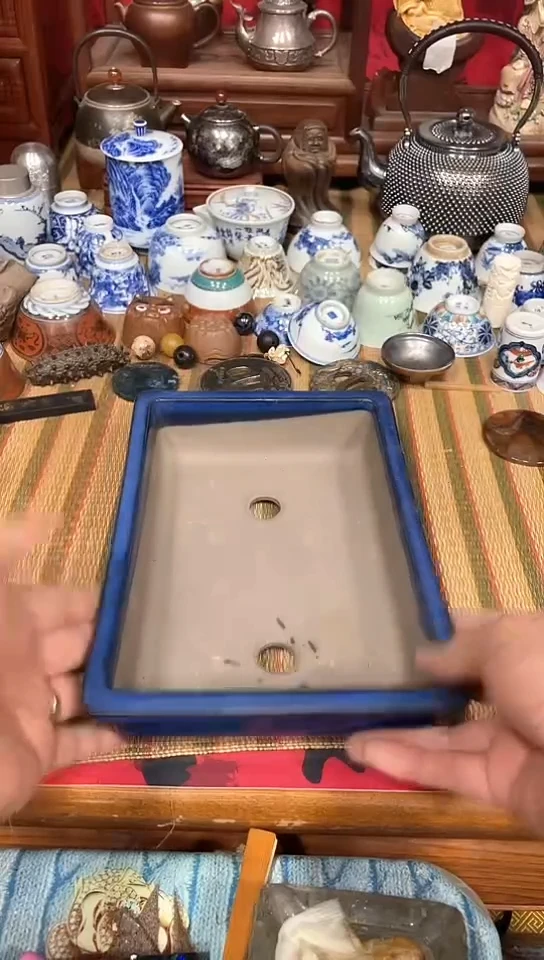 发发发发发发发发发发