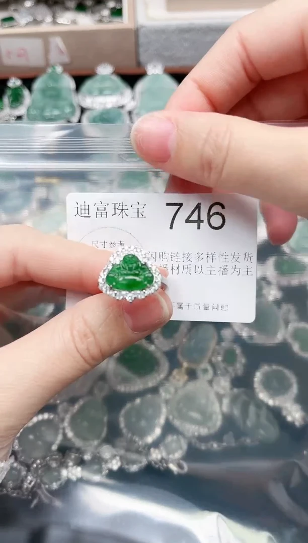 【闪购商品】翡翠颈饰未镶嵌746赠皮绳