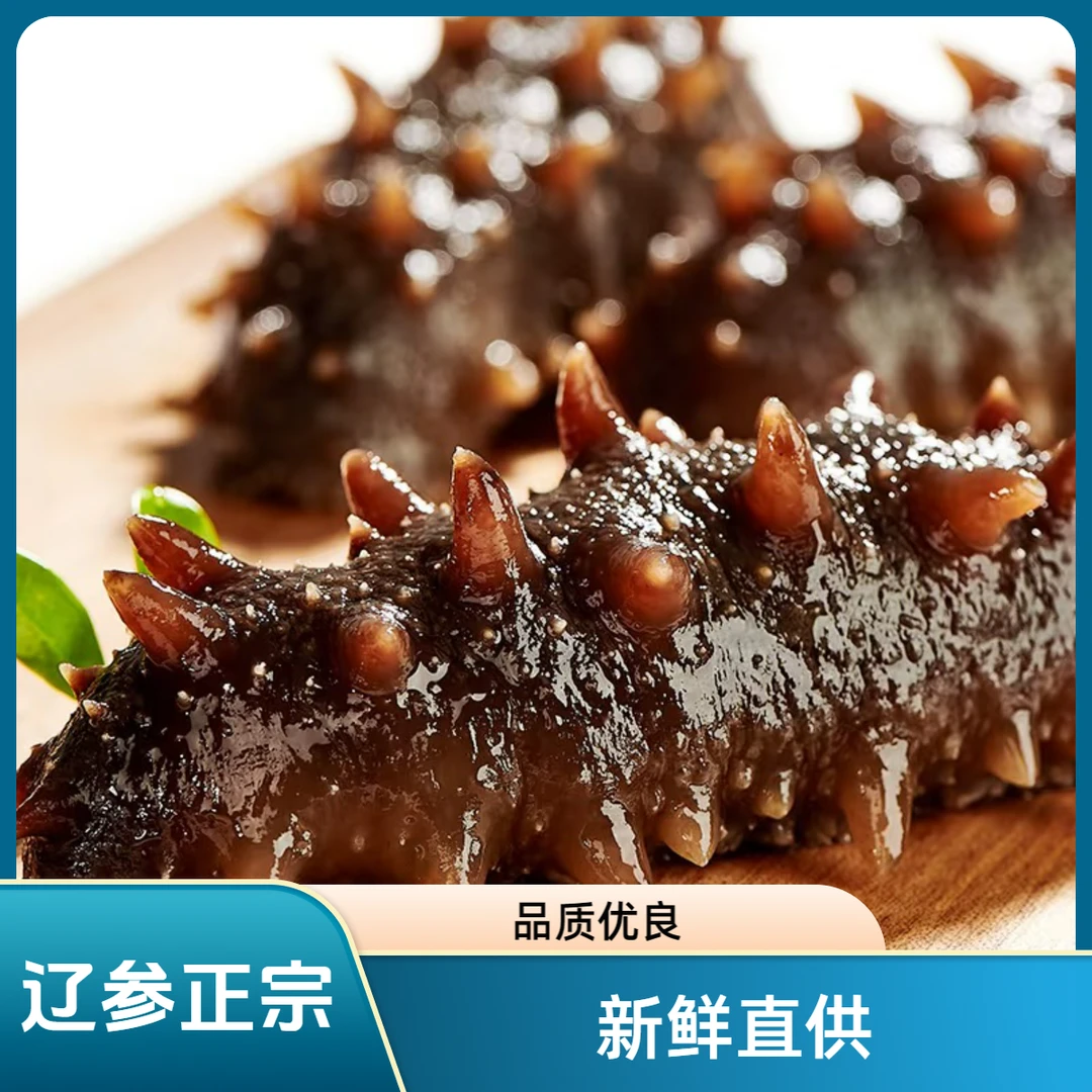 98/50大连辽刺参现场挑货发货
