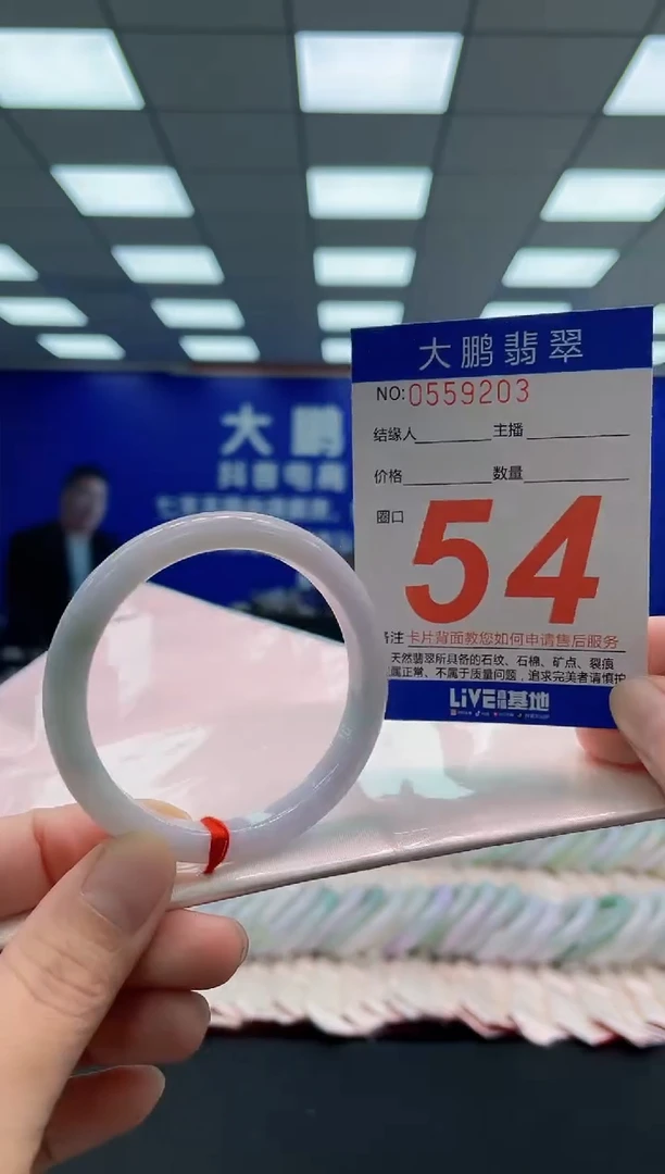 未镶嵌手镯翡翠AAAAAAAAA