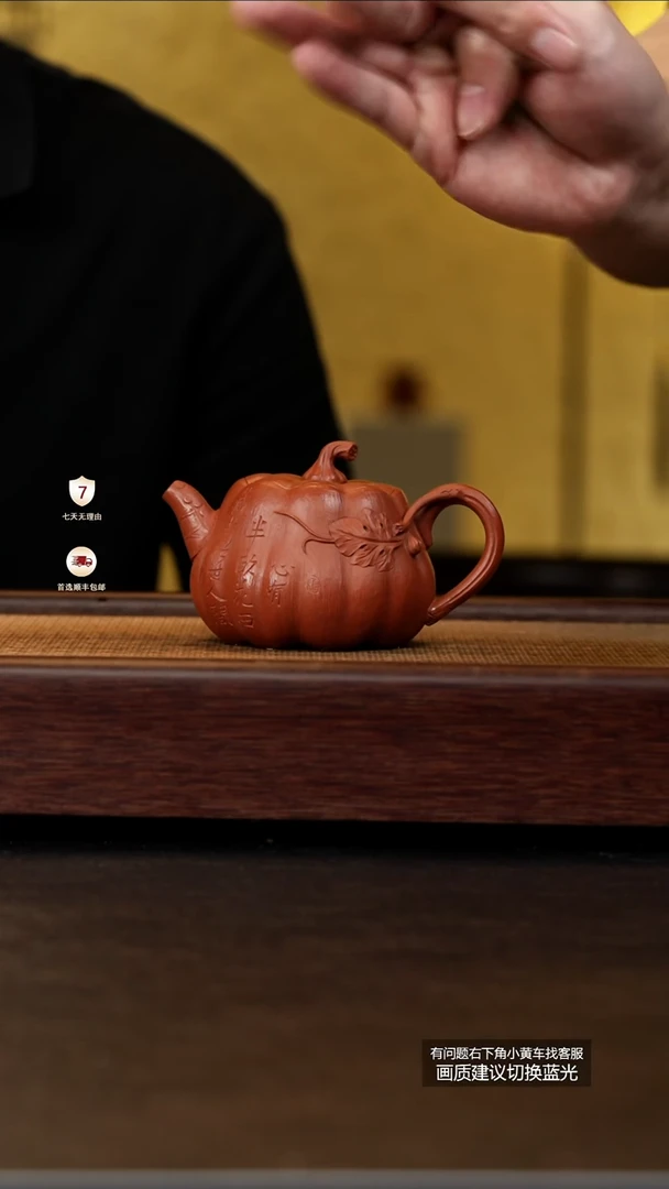 茶壶紫砂蒋工堂原矿龙脊朱砂幽兰南瓜