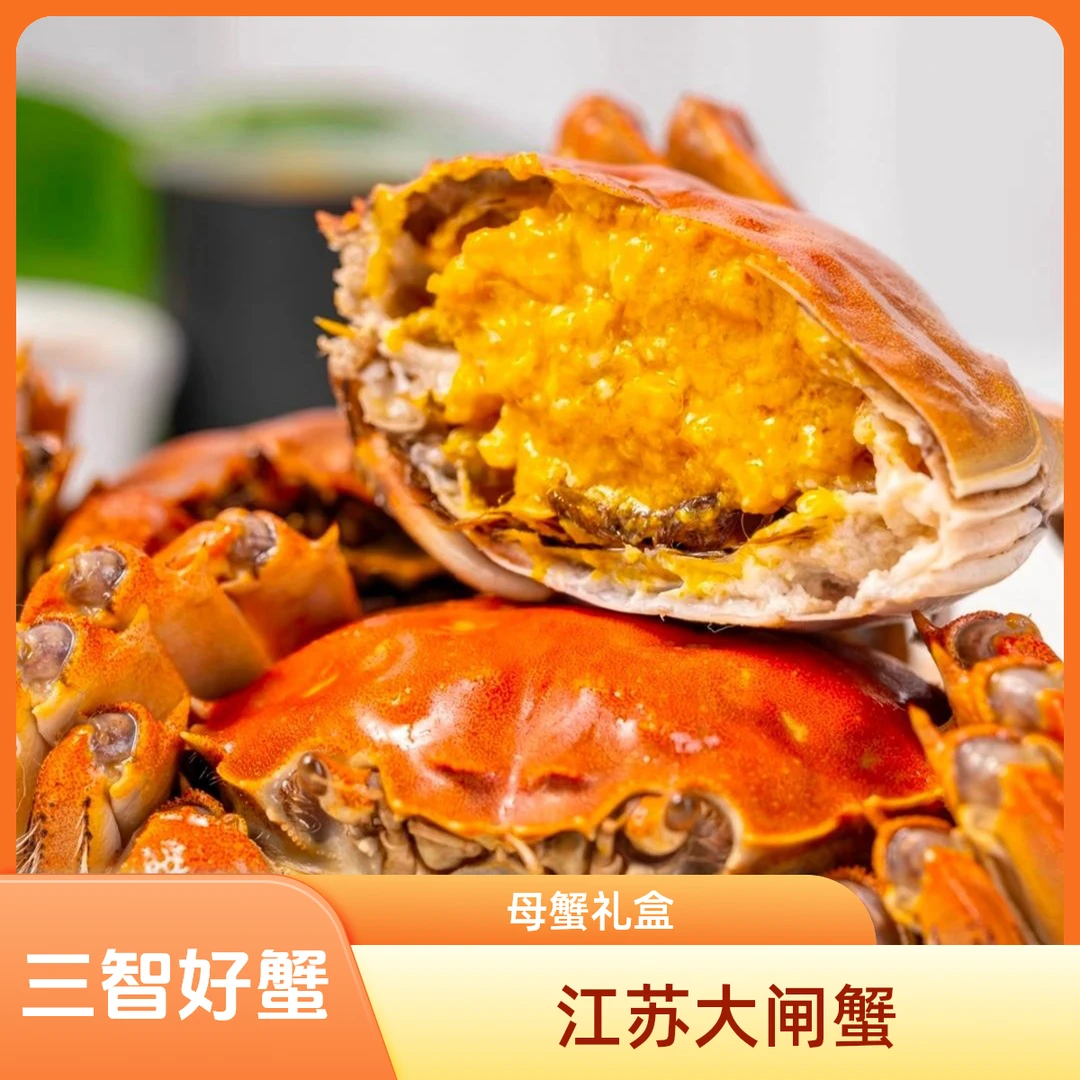 【活蟹】江苏三智农场大闸蟹【母蟹】【礼盒装】2.5两8只-10只-12只装