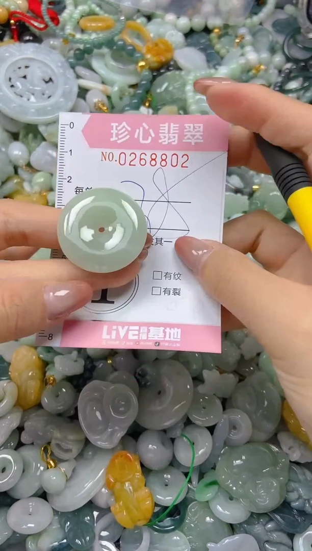 翡翠未镶嵌颈饰闪购0268802