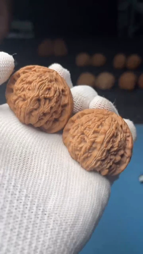 桃核把件a156  白狮子 41尺