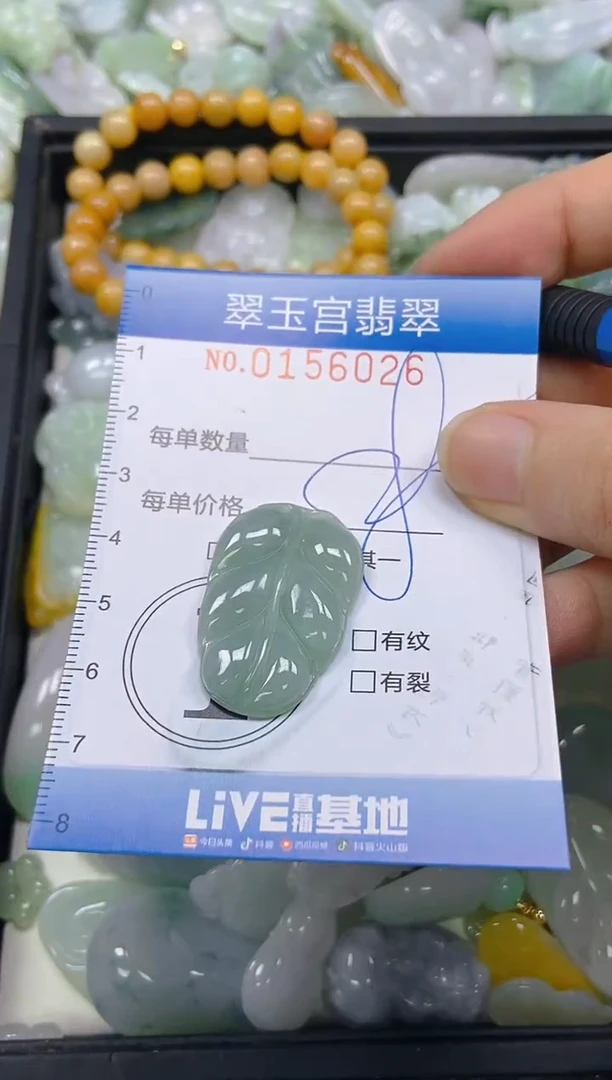 翡翠未镶嵌颈饰闪购0156026