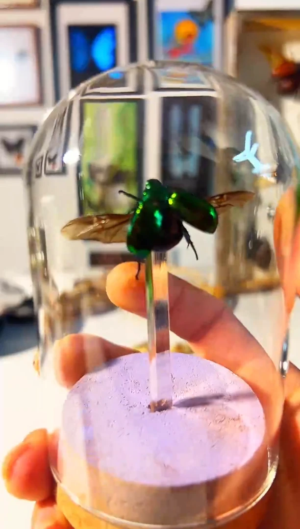 有机玻璃2272252552