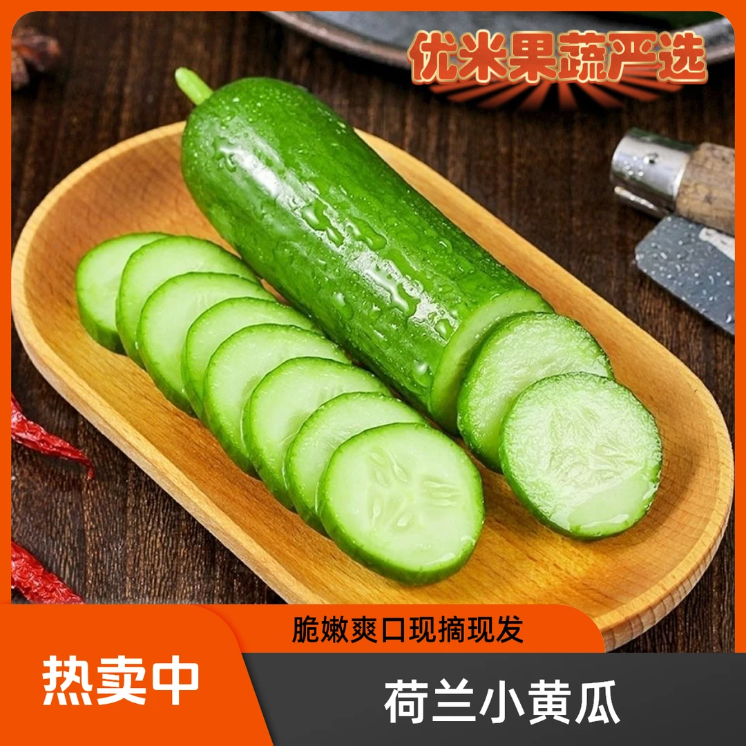 【2斤装】荷兰水果小黄瓜 新鲜采摘生吃水果黄瓜应季蔬菜脆嫩爽口