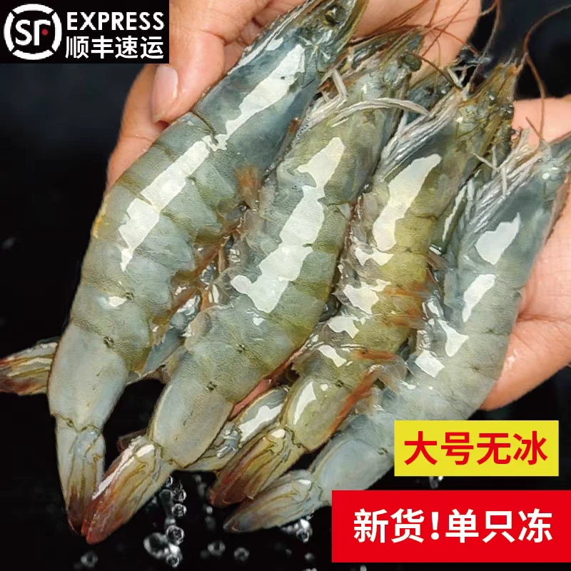 厄瓜多尔海水大虾20/30规格净重3斤 活虾速冻 顺丰