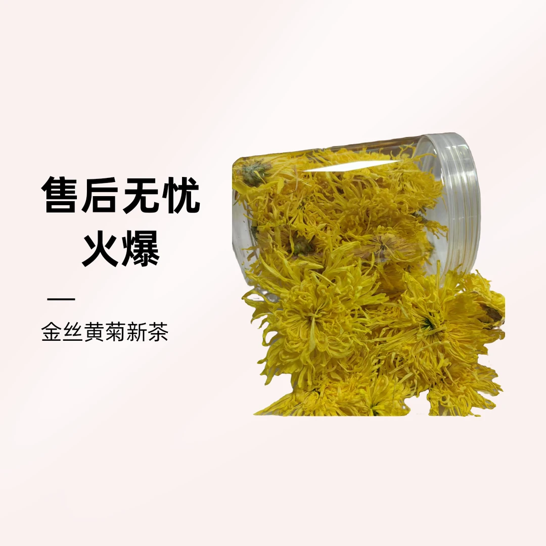【金丝黄菊】金丝黄菊新花高山菊花茶罐装一多一杯赖泡