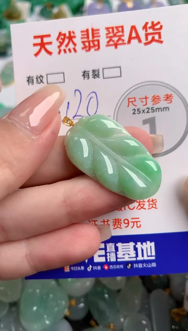 翡翠18K金镶嵌颈饰0581369596