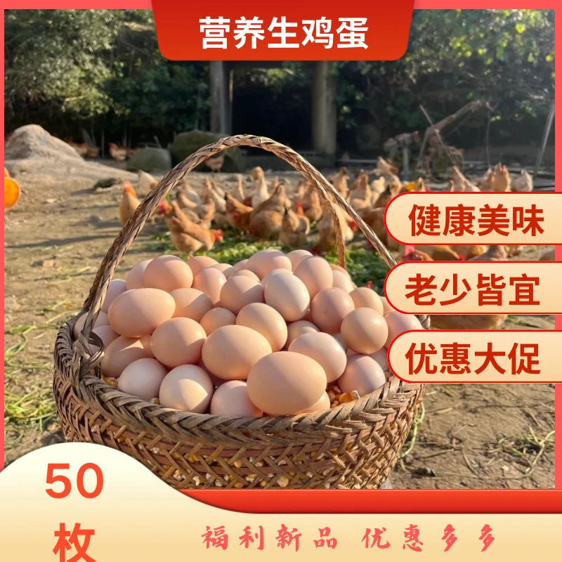 【大唐荣耀】农村土鸡蛋健康营养损坏包赔煎炸煮蒸鸡蛋饼新鲜土鸡蛋