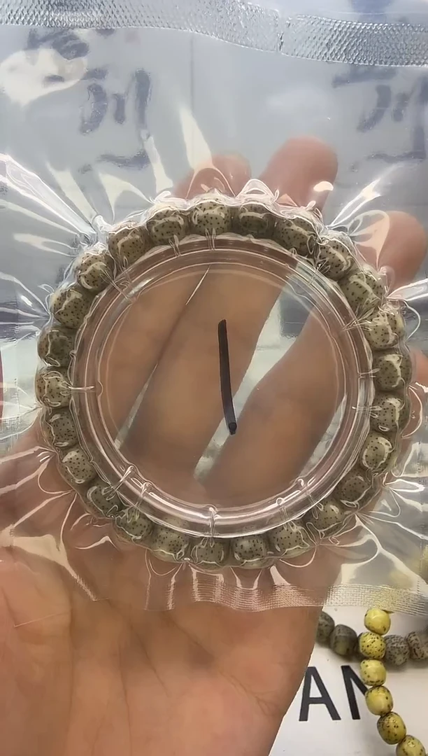 手串星月菩提9/8 灰冰糖 侧留白 同枝果
