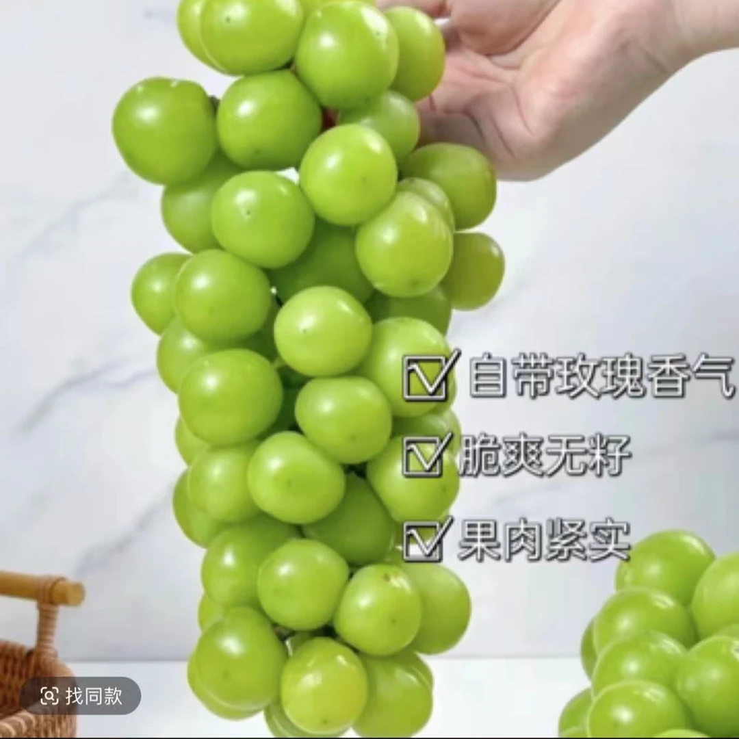 【新疆包邮四川凉山阳光玫瑰葡萄2kg净重新鲜采摘四川省