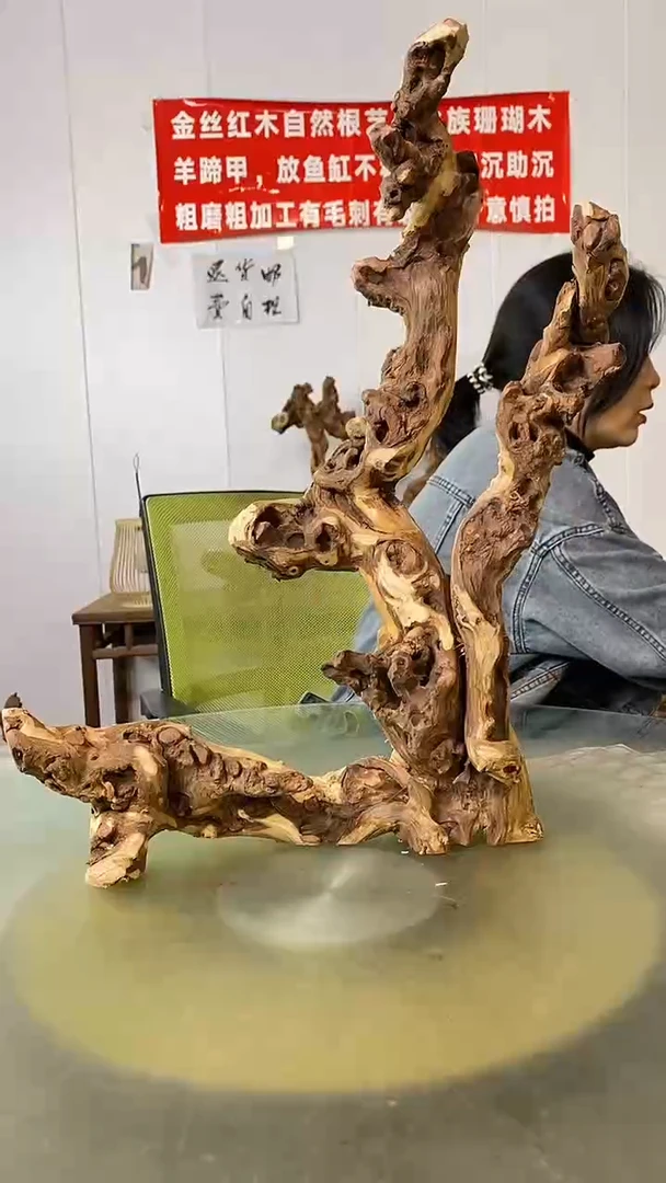 木悟*金丝红木 羊蹄甲