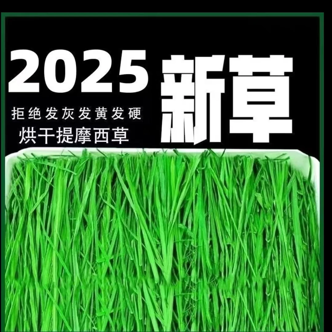 新草头茬烘干提摩西草兔子猪龙猫主食磨牙草