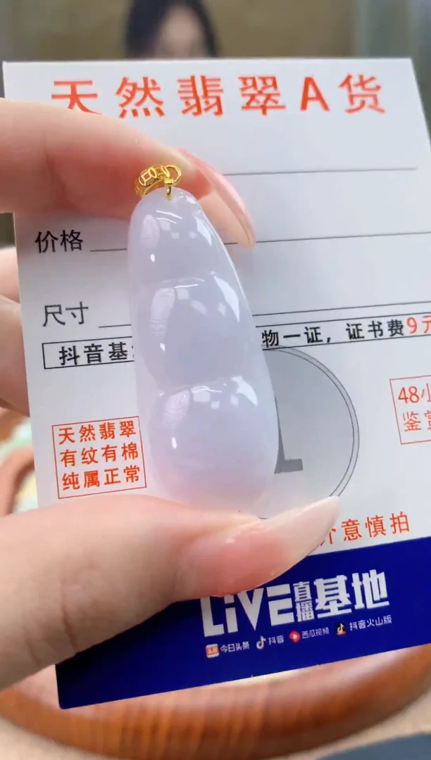 颈饰未镶嵌翡翠天然A货翡翠挂件