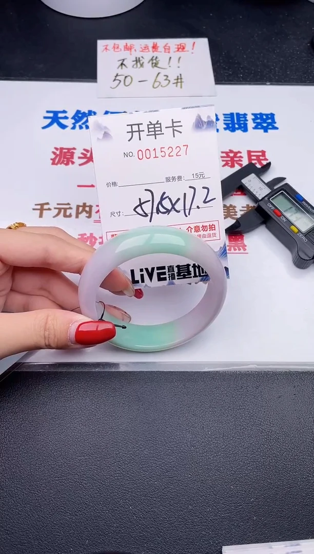未镶嵌手镯翡翠27