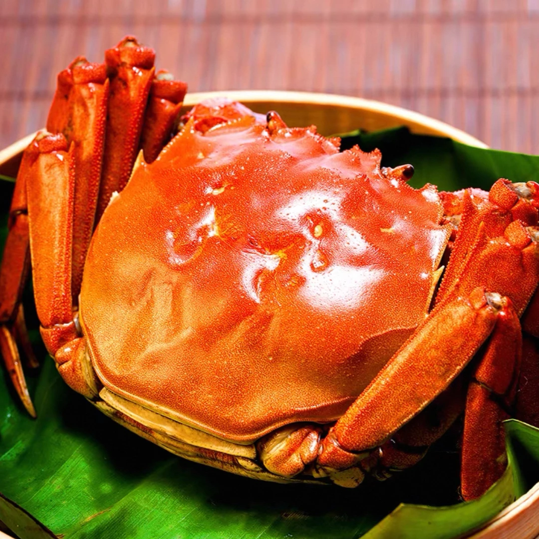 【活蟹】大闸蟹 公蟹6两 母蟹5两 5对10只 顺丰京东空运到家