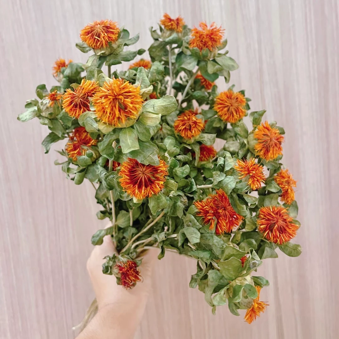 【花拾间】橙菠萝 鲜切花可做干花长期摆放