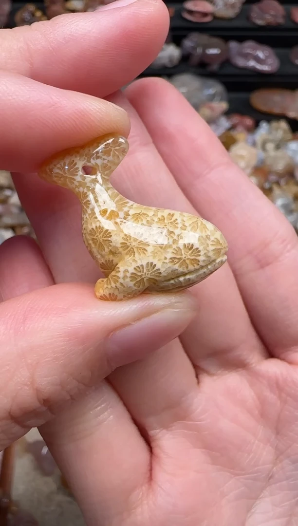颈饰未镶嵌硅化珊瑚（珊瑚玉）370