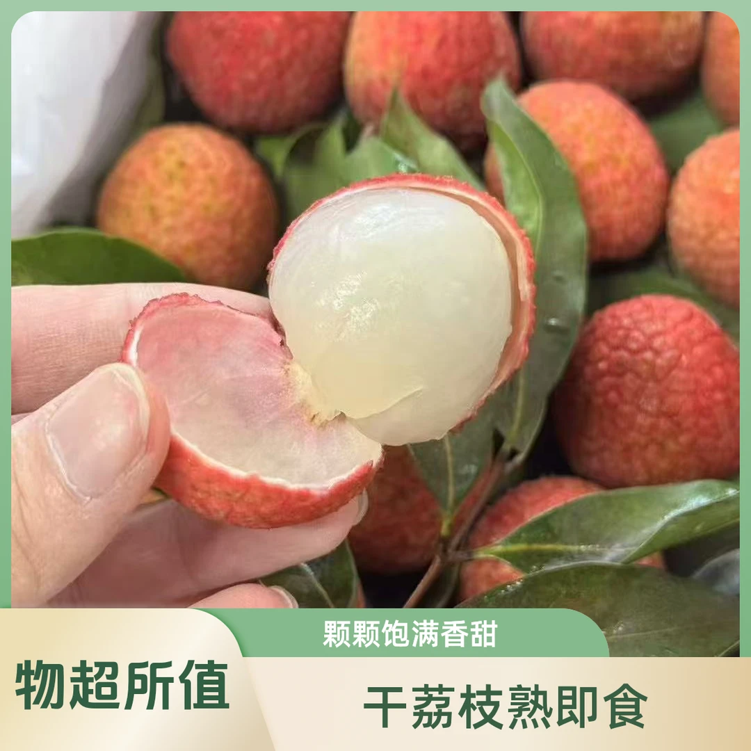 桂味荔枝 1-7斤 海南荔枝同城送海南省