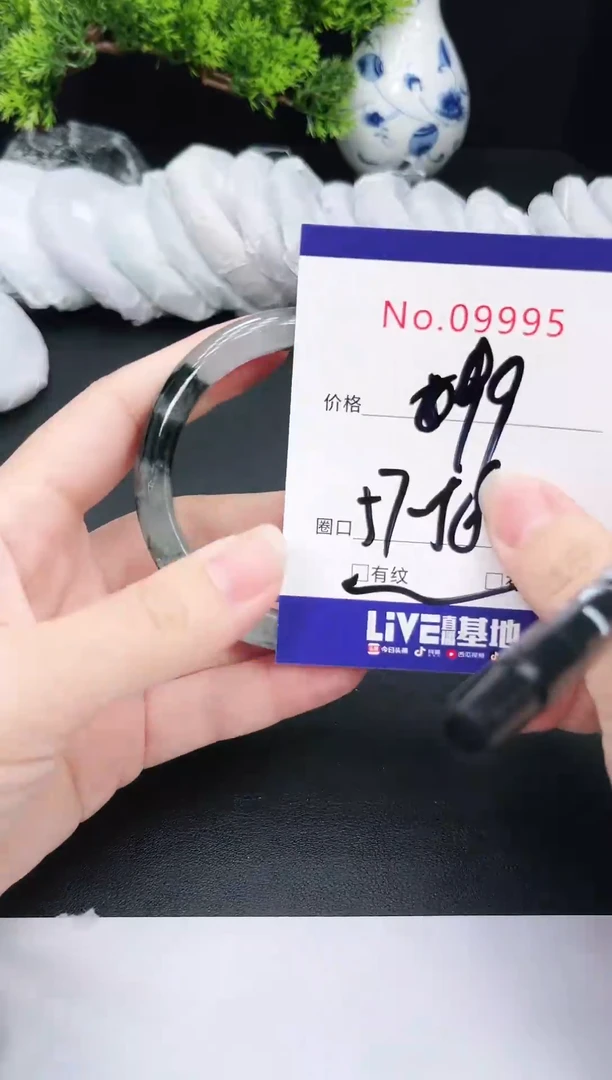 未镶嵌手镯翡翠9995