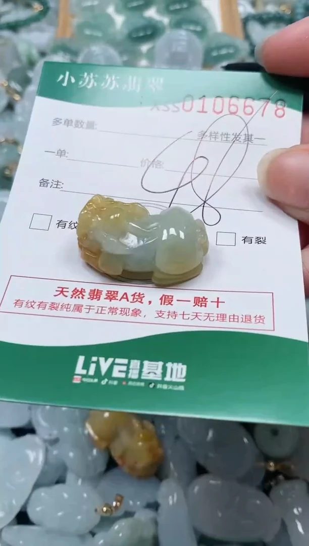 【闪购商品】翡翠颈饰未镶嵌闪购商品0106678